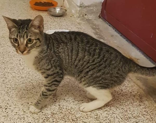 Tiziana, tizia simpatica e curiosa Foto 3